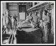 Photograph: [Meat Processing Plant, Waco]