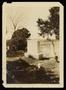 Photograph: [Graves of Callie Currie Barnes and Alline Barnes]