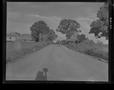 Photograph: [Negative of a Soldier Coming Down a Path on Horseback]