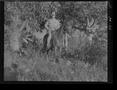 Photograph: [Negative of a Soldier Emerging Form Trees on Horseback, #1]
