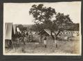 Photograph: [9th Infantry Manuevers]
