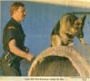 Clipping: [Arlington Canine Officer David Kruckemeyer training with Timo, newsp…
