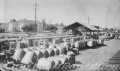Postcard: [Cotton bales at Rosenberg, TX train depot]