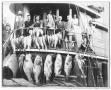 Photograph: [Photograph of Men on a Fishing Boat]