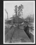 Photograph: [Southern Pine Lumber Company Planing Mill and Loading Dock]