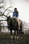 Photograph: [Jimbo Todo Posing on Horse]