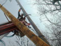 Photograph: [Worker replaces utility pole]