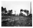 Photograph: ["New Orleans Limited" rolling through Alabama]
