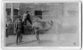 Photograph: [Man posing with horse in front of a wrought iron fence]