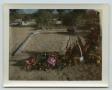 Photograph: [Side View of Grave for Wendell Lee Tarver]