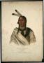 Artwork: "Esh-Tah-Hum-Leah, or the Sleepy Eye:  A Sioux Chief