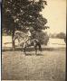 Photograph: Man Sitting on a Horse, c. 1902