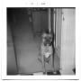 Photograph: Boxer dog sitting in a hallway