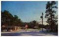 Postcard: [The Pines Motel]