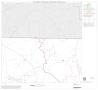 Map: 1990 Census County Block Map (Recreated): Coke County, Block 2
