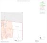 Map: 2000 Census County Block Map: Brooks County, Inset A02