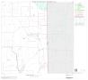Map: 2000 Census County Block Map: Chambers County, Block 10