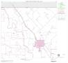 Map: 2000 Census County Block Map: Wise County, Block 2