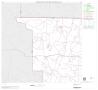 Map: 2000 Census County Block Map: Brooks County, Block 1