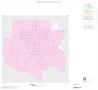 Map: 2000 Census County Block Map: Coke County, Inset C01