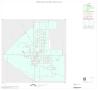 Map: 2000 Census County Block Map: Concho County, Inset C01