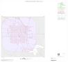 Map: 2000 Census County Block Map: Garza County, Inset A01
