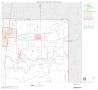 Map: 2000 Census County Block Map: Brooks County, Block 3