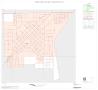 Map: 2000 Census County Block Map: Schleicher County, Inset A01