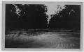 Photograph: [Butterfield Pecan Orchard, Winona, TX]