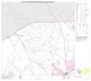 Map: P.L. 94-171 County Block Map (2010 Census): Somervell County, Block 2