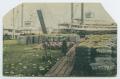 Postcard: [Postcard of Cotton Wharf in New Orleans, Louisiana]