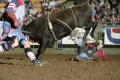 Photograph: [Cowboy Fallen Off a Bull at Cowtown Coliseum]