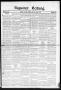 Newspaper: Seguiner Zeitung. (Seguin, Tex.), Vol. 32, No. 43, Ed. 1 Friday, June…