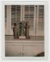 Photograph: [Photograph of Carved Wooden Dolls]