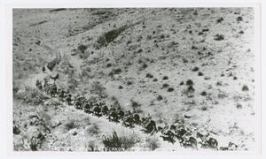 [Photograph of Horse Riders in Pinto Canyon]