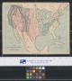 Primary view of The United States Subdivided into Physical Groups