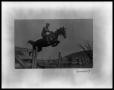 Photograph: Cavalry Rider Jumping Barbwire Fence