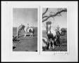 Photograph: Man, Girl, Pony, and Irrigation Pump