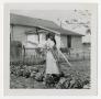Photograph: [Woman in a Garden]