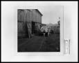 Photograph: Kids in Front of Tobacco Barn