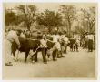 Photograph: 1949 Livestock Show, Travis County