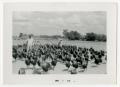 Photograph: [Man and Woman with Turkeys]