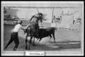 Photograph: Bullfighting