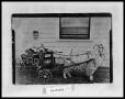 Photograph: Boy in Goat Pulled Wagon