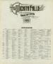 Text: Wichita Falls 1919 - Index