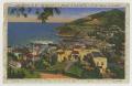 Postcard: [Postcard of Avalon and Bay, Residence of P. K. Wrigley]