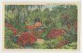 Postcard: [Postcard of Bellingrath Gardens on Isle-Aux-Oies-River]