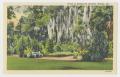 Postcard: [Postcard of Shady Bench in Bellingrath Gardens]