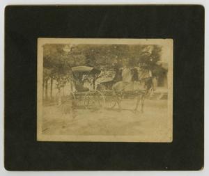 [Photograph of Onyx Lawrence in a Buggy]