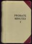 Book: Travis County Probate Records: Probate Minutes I